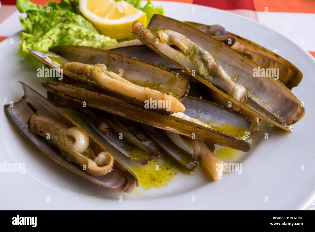 Eine Platte der gestochen scharfe Muscheln (navajas) in einem Restaurant im Combarro, Galizien, Spanien Stockfoto