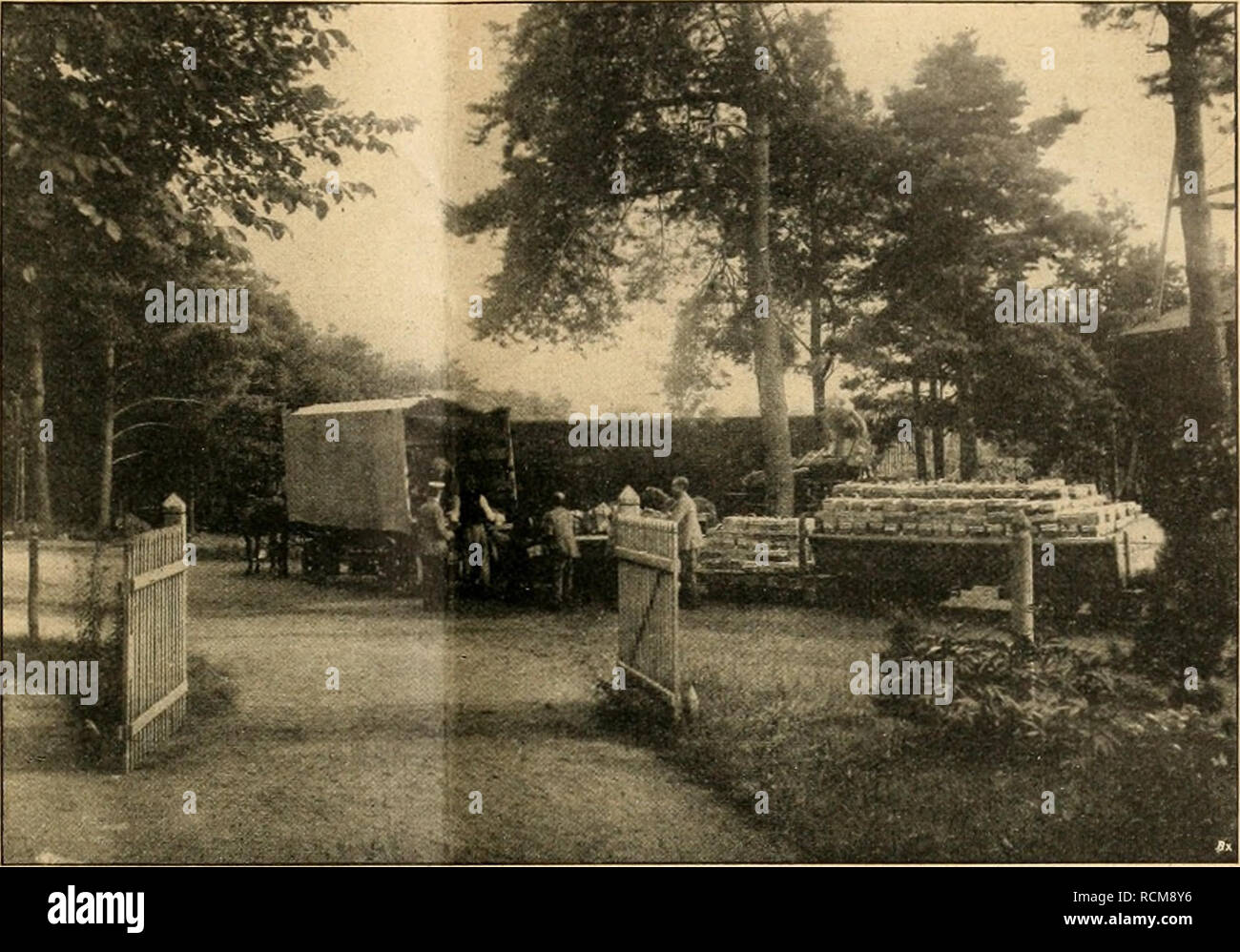 . Gartenwelt sterben. Im Garten arbeiten. XXI, 1 Gartenwelt sterben. Den Hauptobstbaumbestand nehmen sterben Apfelbäume in der Busch- und Halbstammform ein. Als erster reifte Weißer Klar - Apfel, der weiteste Verbreitung verdient. Überreich Krieg der Ansatz bei Charlamowsky, der daher etwas klein blieb. In Abbildung Seite 6 Sindh zahlr Kolonisten mit dem Abernten dieserÄpfelbeschäftigt. Tadel-Los hat sich Ernst Bosch ent-wickelt. Siehe Abb. Seite 6 läßt den gedrungenen Wuchs und den enormen Ansatz der Früchte dicht an den starken Zweigen erkennen, war This Sorte besonders für windige Lagen empfiehlt. Sterben Bäume strotze Stockfoto