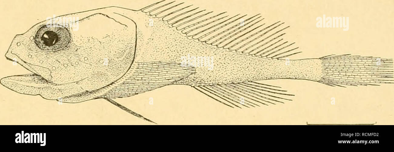 Nackt D Stockfotos Und Bilder Kaufen Alamy