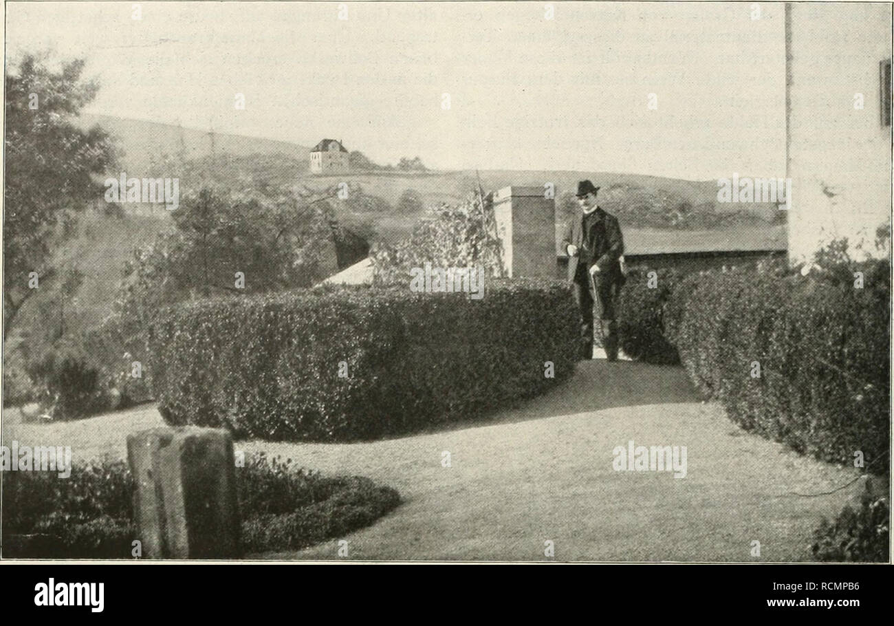 . Gartenkunst sterben. Landschaftsbau; Gärten - Europa. 228 STERBEN GARTENKUNST. XV, 15. Schloß Lichtenberg: Der Garten aul dem Wand. Aufnahme von L. F. Fuchs, München. Nur 48 typische Beispiele und kann, zeigen, wie mannigfach das Verhältnis zwischen Ruine und Garten-kunst sein kann; wie wir aber auch dem Zusammen-wirken der Gartenfreude mit dem Sinne für Ruinen - Romantik Stätten zu danken haben, sterben zu den Ein-Sprechendsten unseres Vaterlandes Start. Es ist unsere Pflicht, sie nach Kräften zu pflegen, zu erhalten und zu vermehren. Bücherbesprechungen. "Unsere Blumen im Garten.&quo Stockfoto