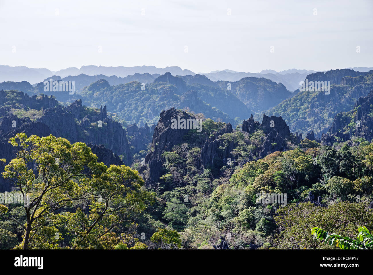 Kalkstein Stone Forest karst Gelände in Laos von einem Aussichtspunkt an der Route 8. Stockfoto