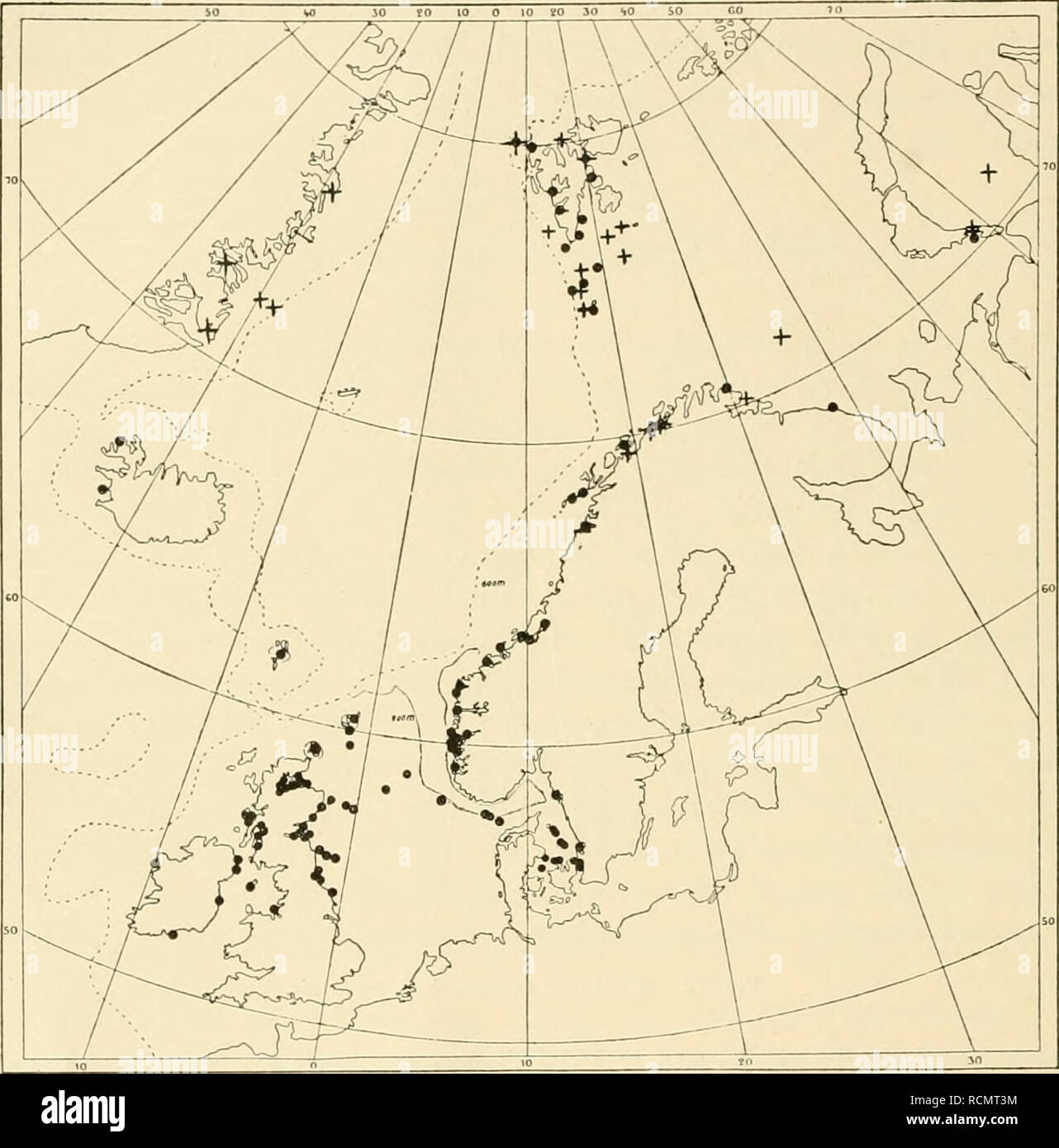 . Sterben Echinodermen des Eisfjords. Stachelhäuter, Stachelhäuter. 40 NILS von HOFSTEN, sterben ECHINODERMEN DES EISFJORDS. MiCHAiLOVSKiJ (1902); s. Abb., 80 m (Sluiter 1895 [. §. Intermedius, Vgl. Grieg 1907]). Beeren Eiland-Bank 64, 329 m (Danielssen&amp; Koren 1884, Vgl. Grieg 1903]), 191 bis 138 m (Döderlein 1900). Übrige und boreoarktische arktische Region: Karische Pforte, 66 m (Schubert 1910). Murmanküste (Eiksmuseum, Stockholm). Ostfinumarken: Kongs-Fjord, 100 m Grieg 1907). Westfinnmarken: Öxfjord (boreoarktiscli?) (M. Sars 1861; auch Eiksmuseum, Stock-Holm); Baisfjord, 30, 80 bis 90 m{Kijek Stockfoto