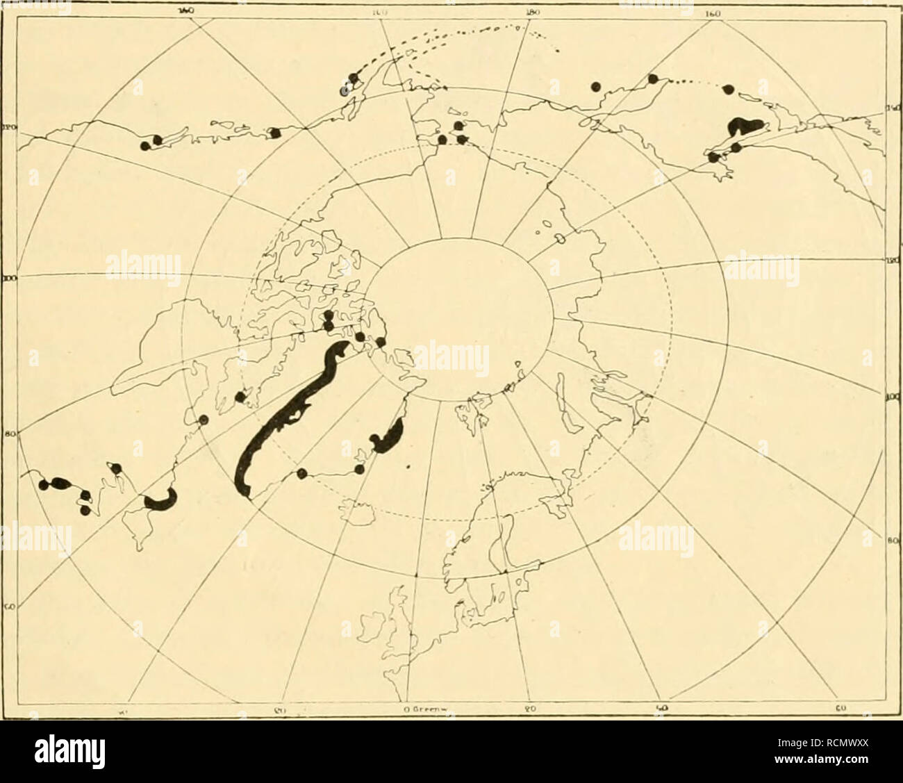 . Sterben Decapoden Crustaceen des Eisfjords. Krebstiere; Krebstiere. KUNGL. SV. VET. AKADEMIENS HANDLINOAR. BAND 54. N: 0 7. 93 III. Westliche Arten. . Stephensen (1912, 1913) unterscheidet eine Gruppe "endemische westgrönländi inid-sche Litoralarten" eine Gruppe "endemisclie grönländische Litoralarten"; in der Ar-beit von 1913 Werdener sterben zuerst zu der zweiten Gruppe gerechneten Decapoden in sterben erste übergeführt. This Gruppe ist ziemlich heterogen und keineswegs Decapoden grösstenteils in Grönland endemisch; von Stephensen / Calman sterben als "arktisch-amerikanisch" bezeichneten Arten sind n Stockfoto