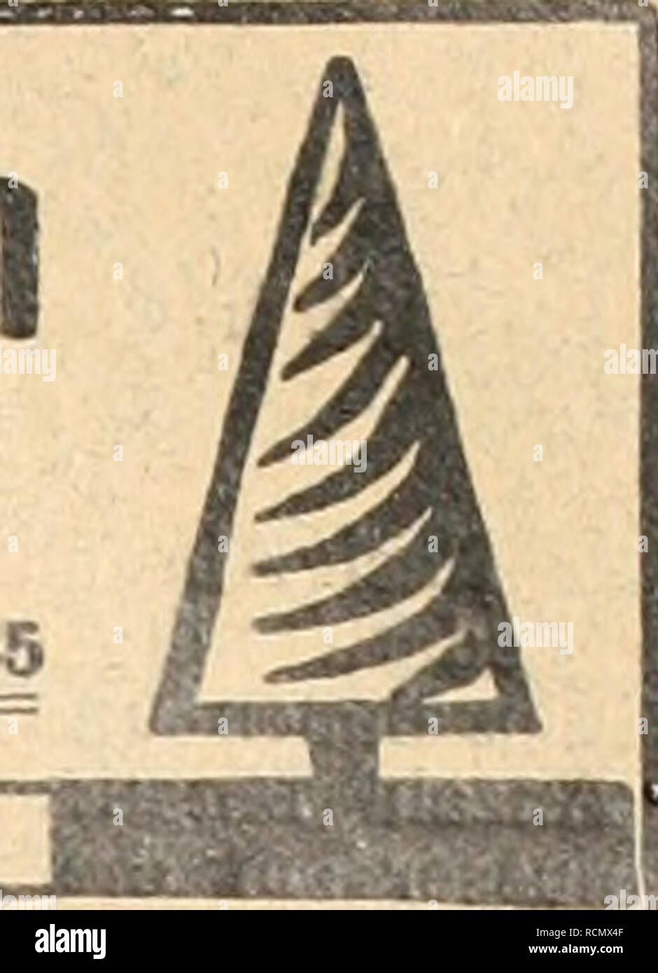 . Gartenkunst sterben. Landschaftsbau; Gärten - Europa. KÃ¶rner &Amp; Brodersen Gartenarchitekten KSrnerstrasse 7 STEGLITZ Fernsprechef 85>! M>! Garten- und Parkanlagen. H - "Ich li.. = Taxus Whipplei! = Prachtvolle dunkelgrÃ¼ne Ware, mehrfach verpflanzt, mit festem Ballen. Vorrat ca 100000 St. in allen GrÃ¶ Ãen bis 250 cm HÃ¶he, als Pyra-Miden, SÃ¤ulen, BÃ¼sche und zu Hecken. Von anderen Coniferen gleichfalls grosser Vorrat an vorzÃ¼glicher Ware. Man verlange unser Preisverzeichnis. J. Timm &Amp; Co., Baumschulen, Elmshorn ich. Holstein. Â^0'. GEWÃCHSHAUS-und Wintergarten - Bauten sowie Stockfoto