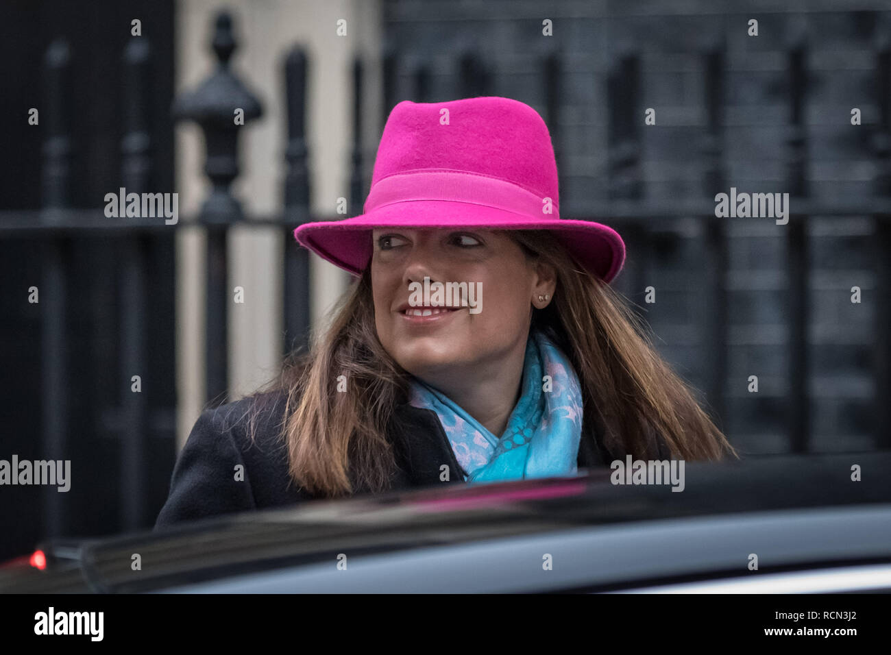 London, Großbritannien. 15. Januar, 2019. Die Minister kommen für die wöchentliche Kabinettssitzung am 10 Downing Street am Tag der 'Mihrer Stimme" auf Prime Minister's Theresa's kann Brexit Entzug beschäftigen. Credit: Guy Corbishley/Alamy leben Nachrichten Stockfoto