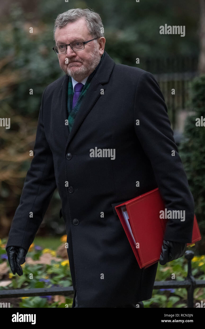 London, Großbritannien. 15. Januar, 2019. Die Minister kommen für die wöchentliche Kabinettssitzung am 10 Downing Street am Tag der 'Mihrer Stimme" auf Prime Minister's Theresa's kann Brexit Entzug beschäftigen. Credit: Guy Corbishley/Alamy leben Nachrichten Stockfoto