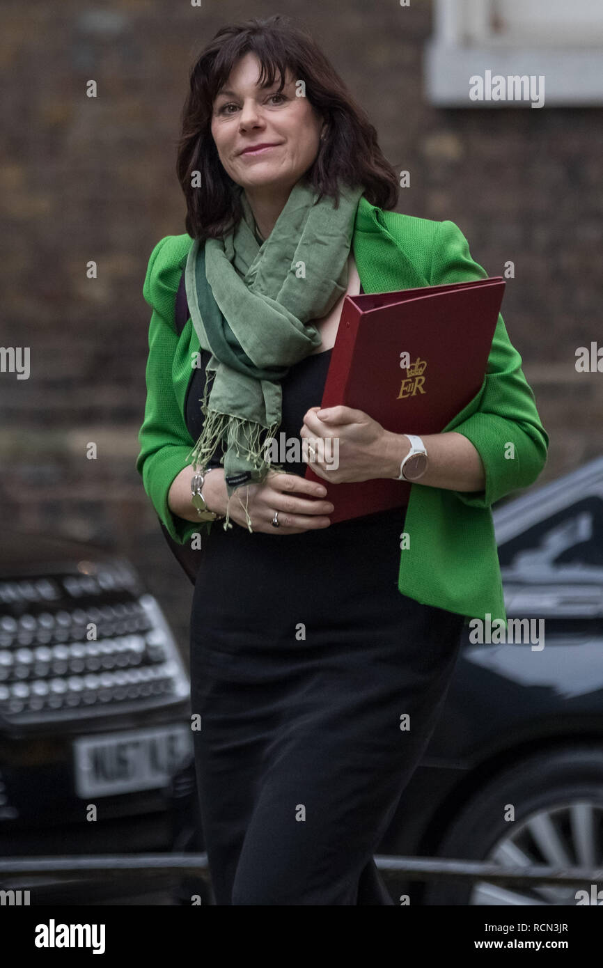 London, Großbritannien. 15. Januar, 2019. Die Minister kommen für die wöchentliche Kabinettssitzung am 10 Downing Street am Tag der 'Mihrer Stimme" auf Prime Minister's Theresa's kann Brexit Entzug beschäftigen. Credit: Guy Corbishley/Alamy leben Nachrichten Stockfoto