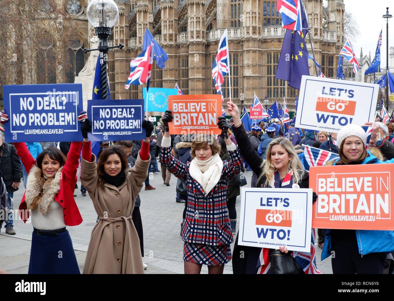 London, Großbritannien. 15. Jan 2019. Brexit Demonstranten vor dem Parlamentsgebäude, London (UK). Dienstag, 15. Januar 2019. Credit: Jonathan Jones/Alamy leben Nachrichten Stockfoto