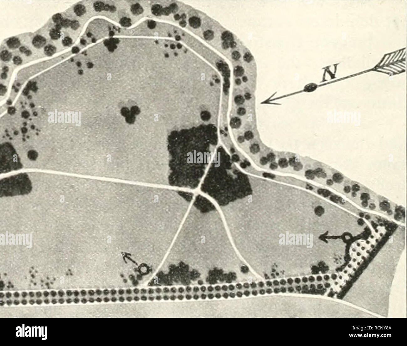 . Gartenkunst sterben. Landschaftsbau; Gärten - Europa. Er ist Sterben Pyramidenpappel, Koniferen, und wie oft hat man Gelegenheit, this schöne Baumform (die leider selten zu haben ist) zu verwenden. Ich gehe weiter und komme zu Kieferngruppen. Pinus austriaca, prächtige österreichischen Schwarz sterben - Kiefer ist hier bei uns bei weitem die beste. Dunkel-grün und üppig steht sie da und wird weder von Laus noch von Pilzen befallen, war ein großer Vorteil gegenüber anderen Kiefern ist, z. B. in der Weymuts - Kiefer, welche hier so stark unter der Schmierlaiis leidet. Auch ist-Pinus austrica wenig e Stockfoto