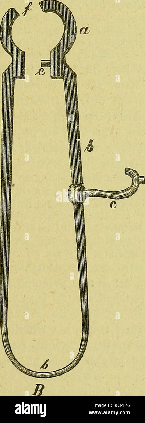 . Die fremdländischen Stubenvögel; ihre Naturgeschichte, Pflege und Zucht. Vogelkäfig. . Bitte beachten Sie, dass diese Bilder sind von der gescannten Seite Bilder, die digital für die Lesbarkeit verbessert haben mögen - Färbung und Aussehen dieser Abbildungen können nicht perfekt dem Original ähneln. extrahiert. Russ, Karl, 1833-1899. Hannover: Carl Rümpler Stockfoto