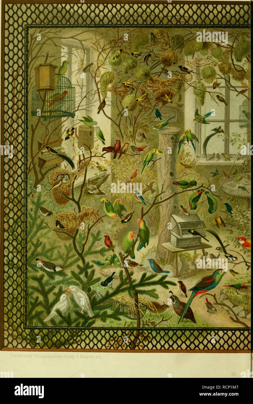 . Die fremdländischen Stubenvögel; ihre Naturgeschichte, Pflege und Zucht. Vogelkäfig. . Bitte beachten Sie, dass diese Bilder sind von der gescannten Seite Bilder, die digital für die Lesbarkeit verbessert haben mögen - Färbung und Aussehen dieser Abbildungen können nicht perfekt dem Original ähneln. extrahiert. Russ, Karl, 1833-1899. Hannover: Carl Rümpler Stockfoto