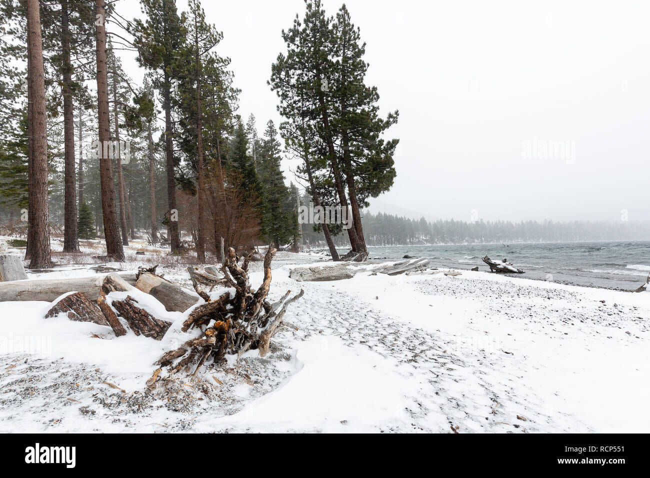 Eine Ansicht der Gefallenen Leaf Lake im Schnee während ein Wintersturm. Stockfoto