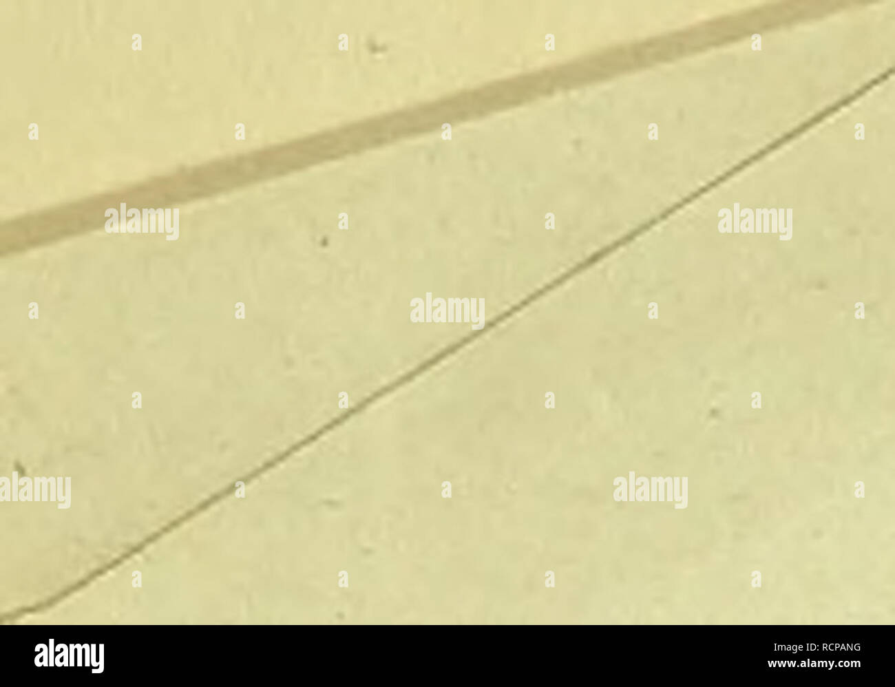 . Die fremdländischen Stubenvögel; ihre Naturgeschichte, Pflege und Zucht. Vogelkäfig. . Bitte beachten Sie, dass diese Bilder sind von der gescannten Seite Bilder, die digital für die Lesbarkeit verbessert haben mögen - Färbung und Aussehen dieser Abbildungen können nicht perfekt dem Original ähneln. extrahiert. Russ, Karl, 1833-1899. Hannover: Carl Rümpler Stockfoto