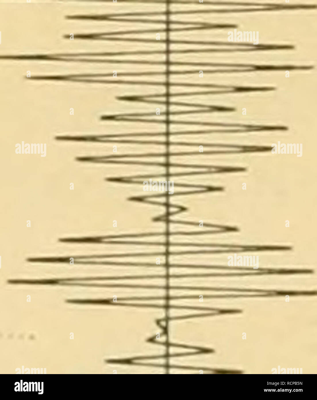 . Die Beteiligung Deutschlands an der internationalen Vollständigen: Bericht. Ozean; Fischerei; Meeresbiologie; Fischerei; Fischerei. . Bitte beachten Sie, dass diese Bilder sind von der gescannten Seite Bilder, die digital für die Lesbarkeit verbessert haben mögen - Färbung und Aussehen dieser Abbildungen können nicht perfekt dem Original ähneln. extrahiert. Die Deutsche Wissenschaftliche Kommission für vollständigen. Berlin: Wissenschaftliche Kommission Stockfoto