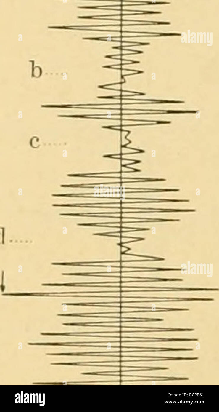 . Die Beteiligung Deutschlands an der internationalen Vollständigen: Bericht. Ozean; Fischerei; Meeresbiologie; Fischerei; Fischerei. . Bitte beachten Sie, dass diese Bilder sind von der gescannten Seite Bilder, die digital für die Lesbarkeit verbessert haben mögen - Färbung und Aussehen dieser Abbildungen können nicht perfekt dem Original ähneln. extrahiert. Die Deutsche Wissenschaftliche Kommission für vollständigen. Berlin: Wissenschaftliche Kommission Stockfoto