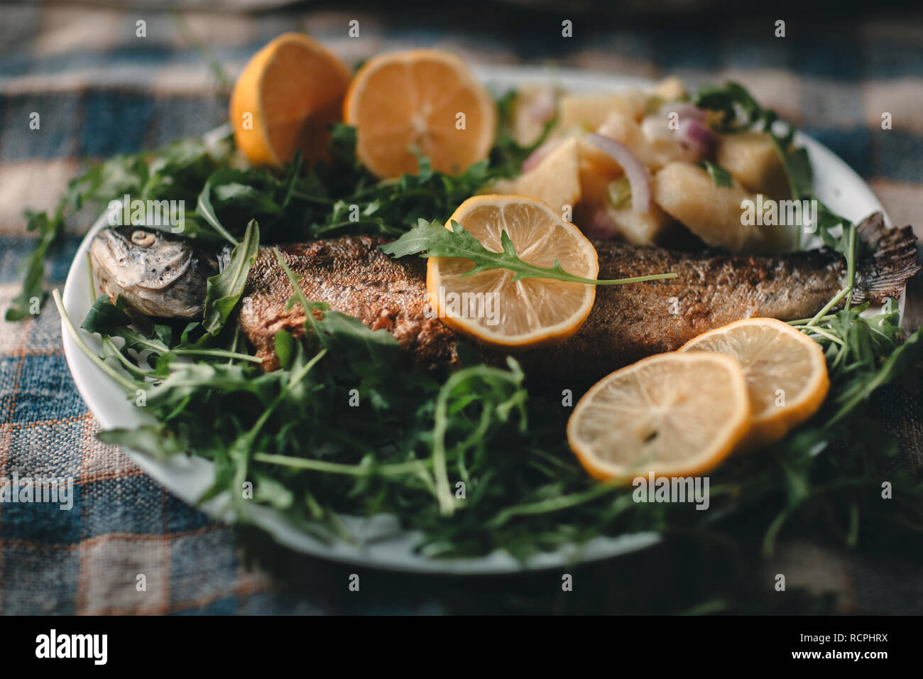 Gegrillter Fisch auf dem Teller mit Zitrone und Salat serviert. Stockfoto