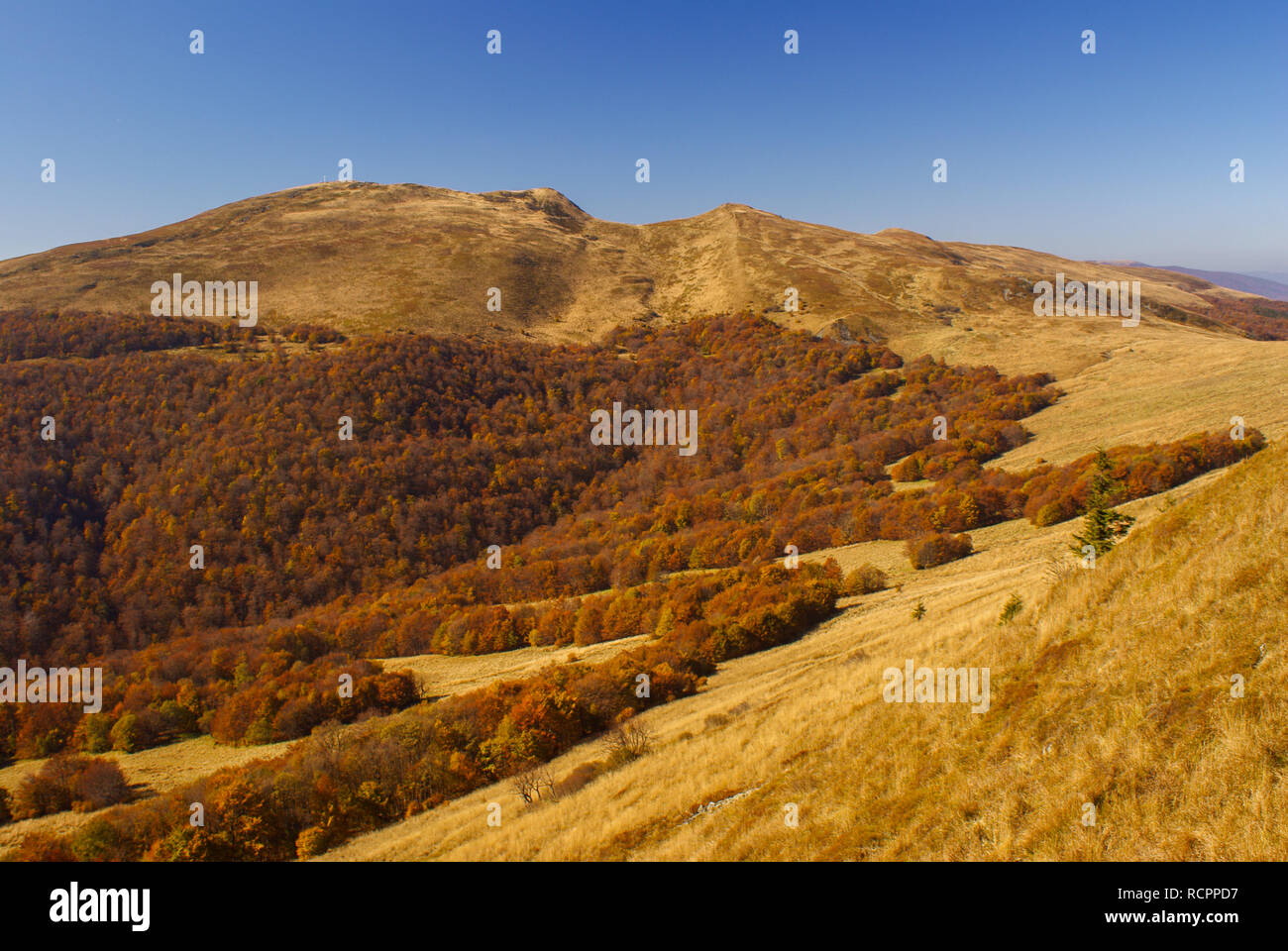 Berg Wiesen und Wälder im Herbst. Bieszczady National Park. Tarnica Stockfoto