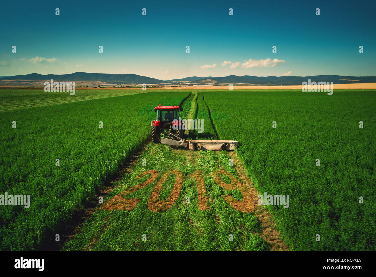 Traktor mähen grünes Feld, Luftbild. Stockfoto