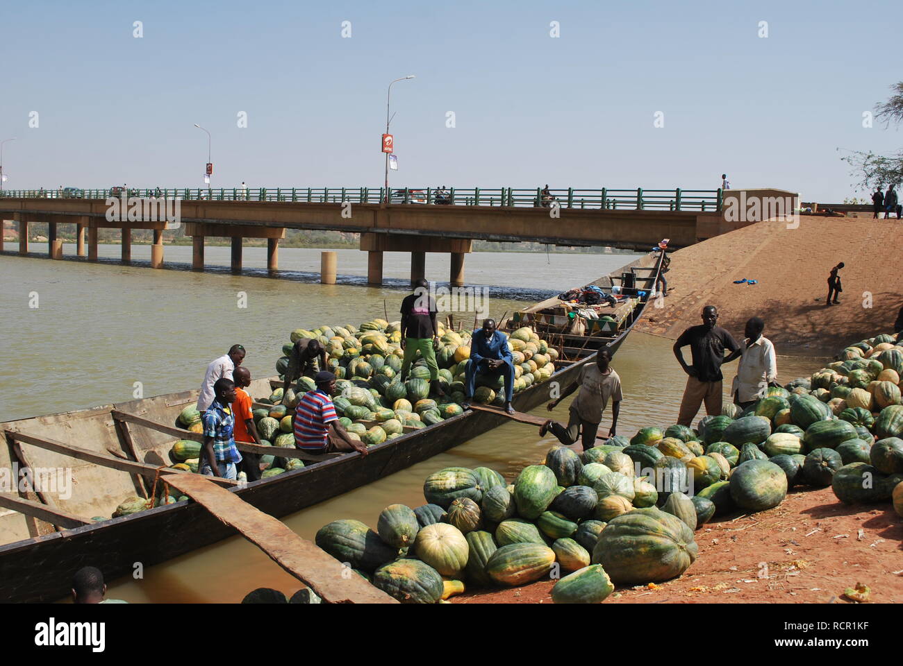 Eine Last von squash Entladen am Ufer des Niger unter der Kennedy-Brücke in Niamey, Niger, Afrika Stockfoto