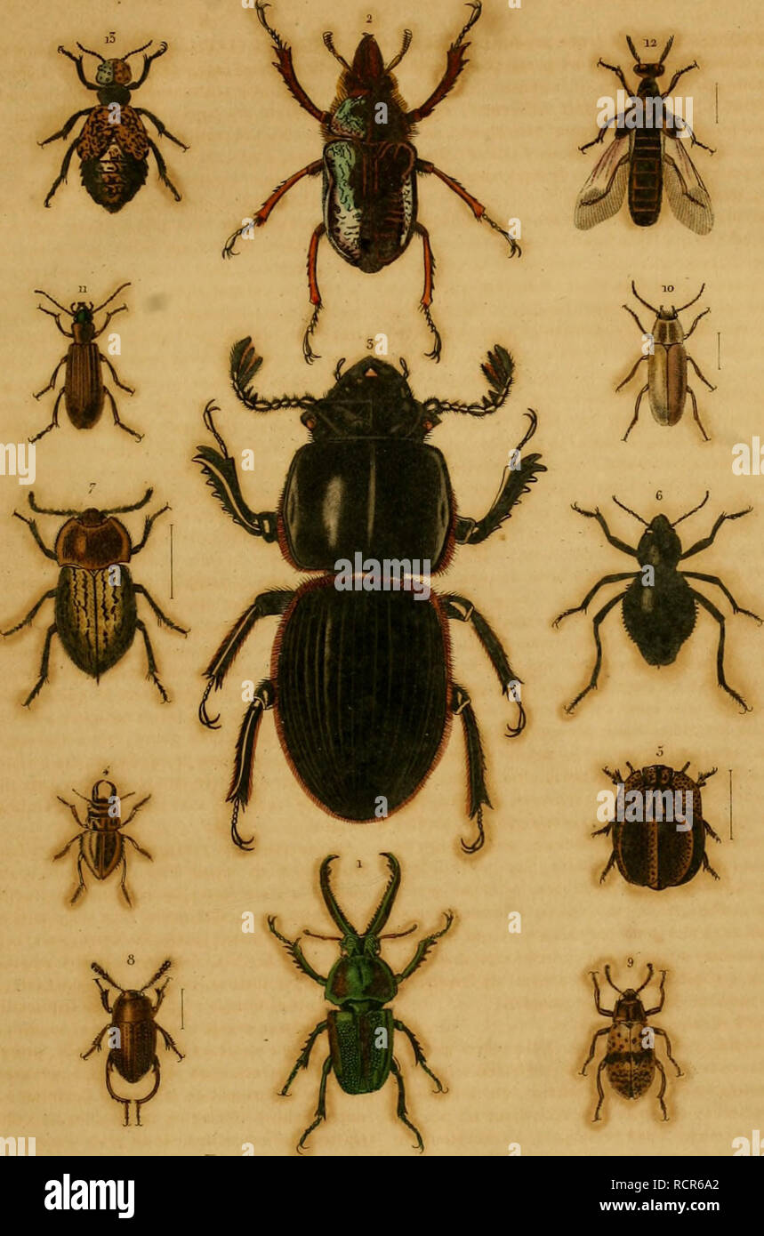 Olal Stockfotos Und Bilder Kaufen Alamy