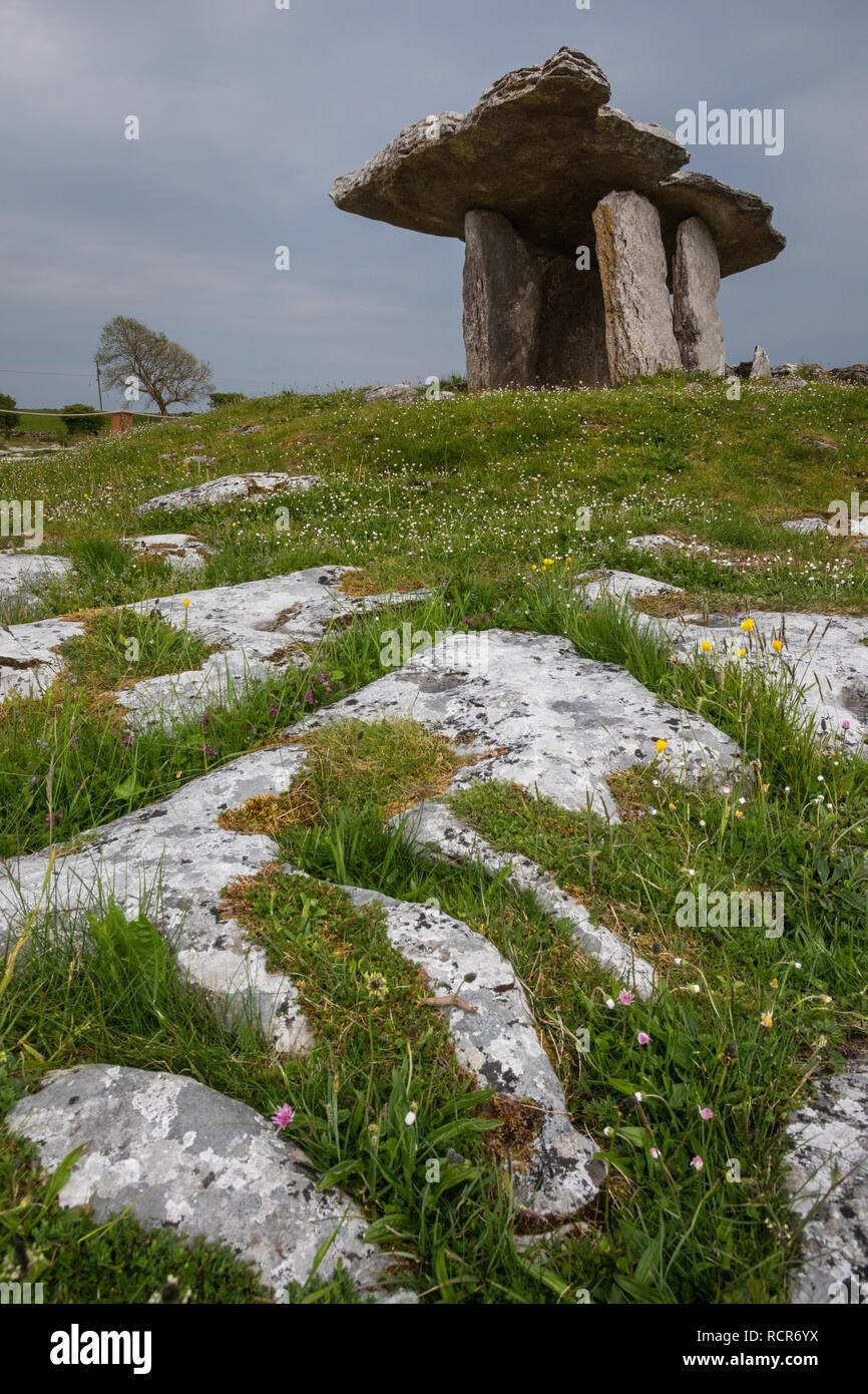 Poulnabrone, County Clare, Irland Stockfoto