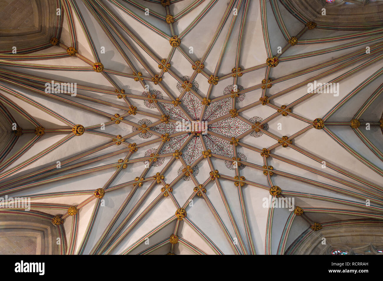 Detailansicht der Marienkapelle Decke an Wells Cathedral. Wells, Somerset, Großbritannien Stockfoto