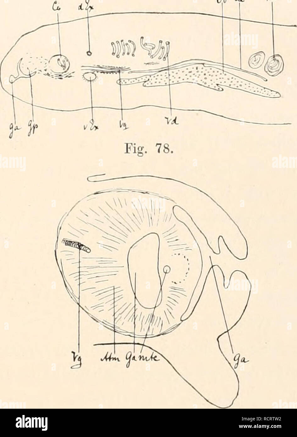 . Deutsche SüdpolarExpedition, 19011903, im, Aufträge des Reichsamtes