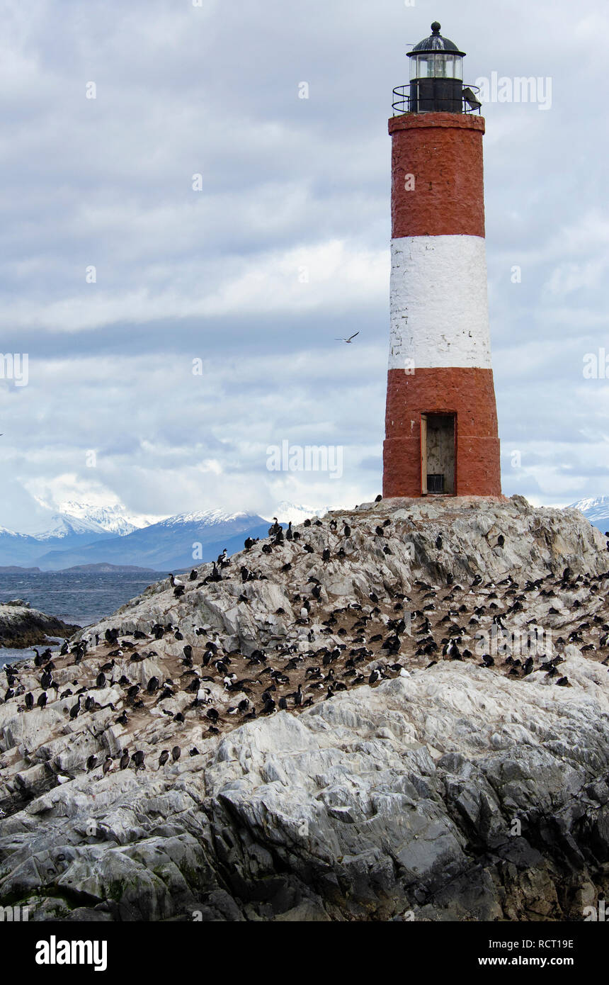 'Les éclaireurs 'Leuchtturm in den Beagle Kanal in Ushuaia, häufig für den Leuchtturm am Ende der Welt verwechselt, beherbergt eine Kolonie der Kormorane Stockfoto