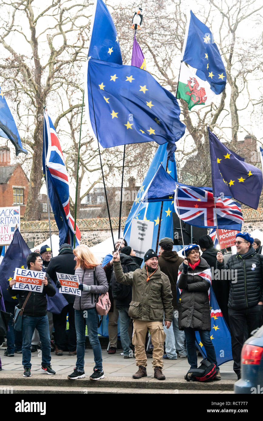 Die Demonstranten versammeln sich außerhalb des Parlaments vor Die sinnvolle Abstimmung (MV) auf dem Brexit Rückzug Vereinbarung Westminster, London UK 15. Januar 2019 Stockfoto