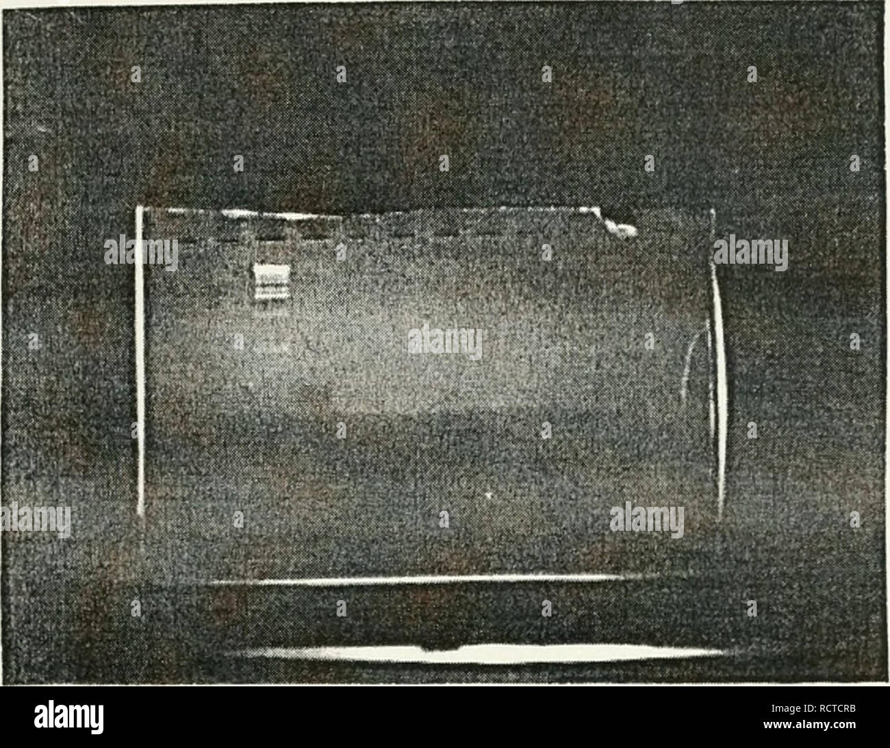 . Die Entwicklung einer cosmid Karte von Chromosom 12p13. Sweet Briar College; Chromosomen. Abbildung 18. 1,5% Agarose-Gel-Elektrophorese einer digoxigenin Kennzeichnung PCR-Verfahren mit Vorwärts- und Rückwärtsgang Grundierungen für STS-D12 S950. Spur 3 enthält 0,5 | ag 1 KB Leiter und Spur 4 enthält K562 Bezeichnung DNA. Ein schwaches Band sichtbar ist in der Spur 4 bei ca. 396 oder 344 Basen entsprechend der Bezeichnung STS-Marker. Bitte beachten Sie, dass diese Bilder aus gescannten Seite Bilder, die digital haben für die Lesbarkeit verbessert - Färbung und Aussehen dieser Abbildungen können nicht Perfekt extrahiert werden Stockfoto