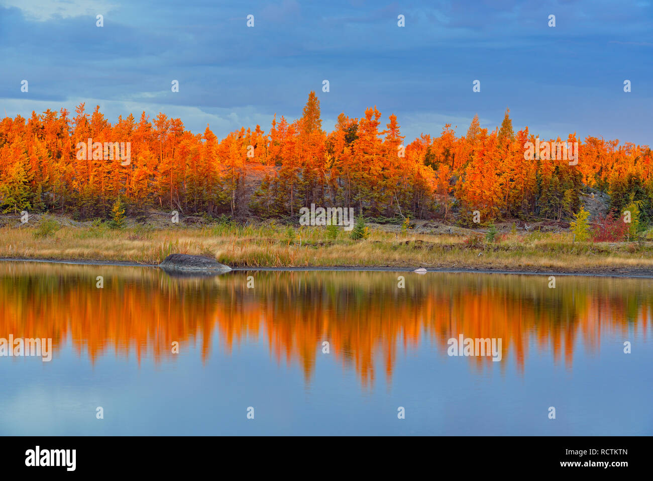 Dämmerung Himmel in einem kleinen namenlosen See, Yellowknife, Nordwest-Territorien, Kanada wider Stockfoto