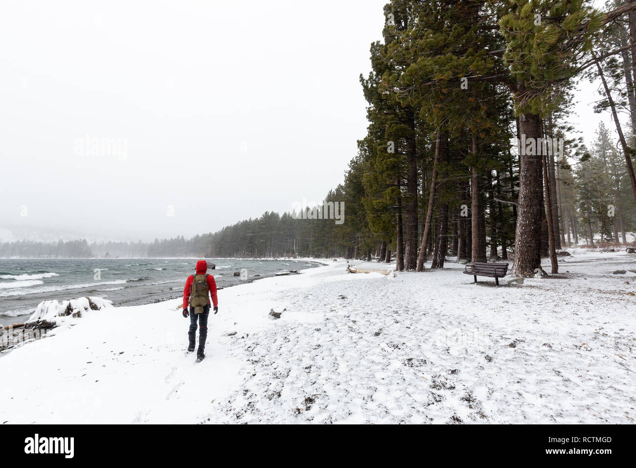 Ein Wanderer erforscht die Ufer der Gefallenen Leaf Lake im Winter Schnee Sturm. Stockfoto