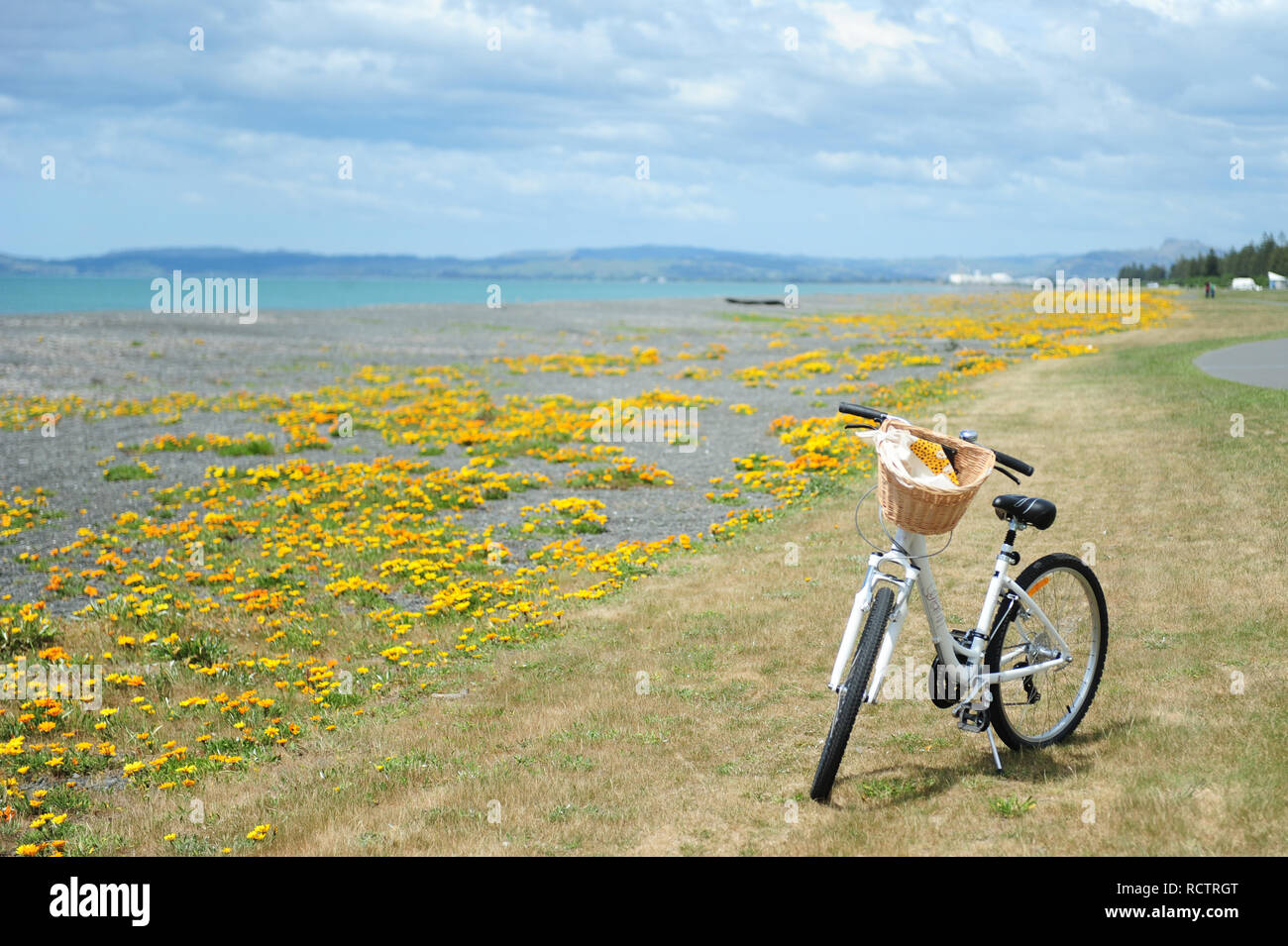 Fahrrad an der Marine Parade in Napier Stockfoto