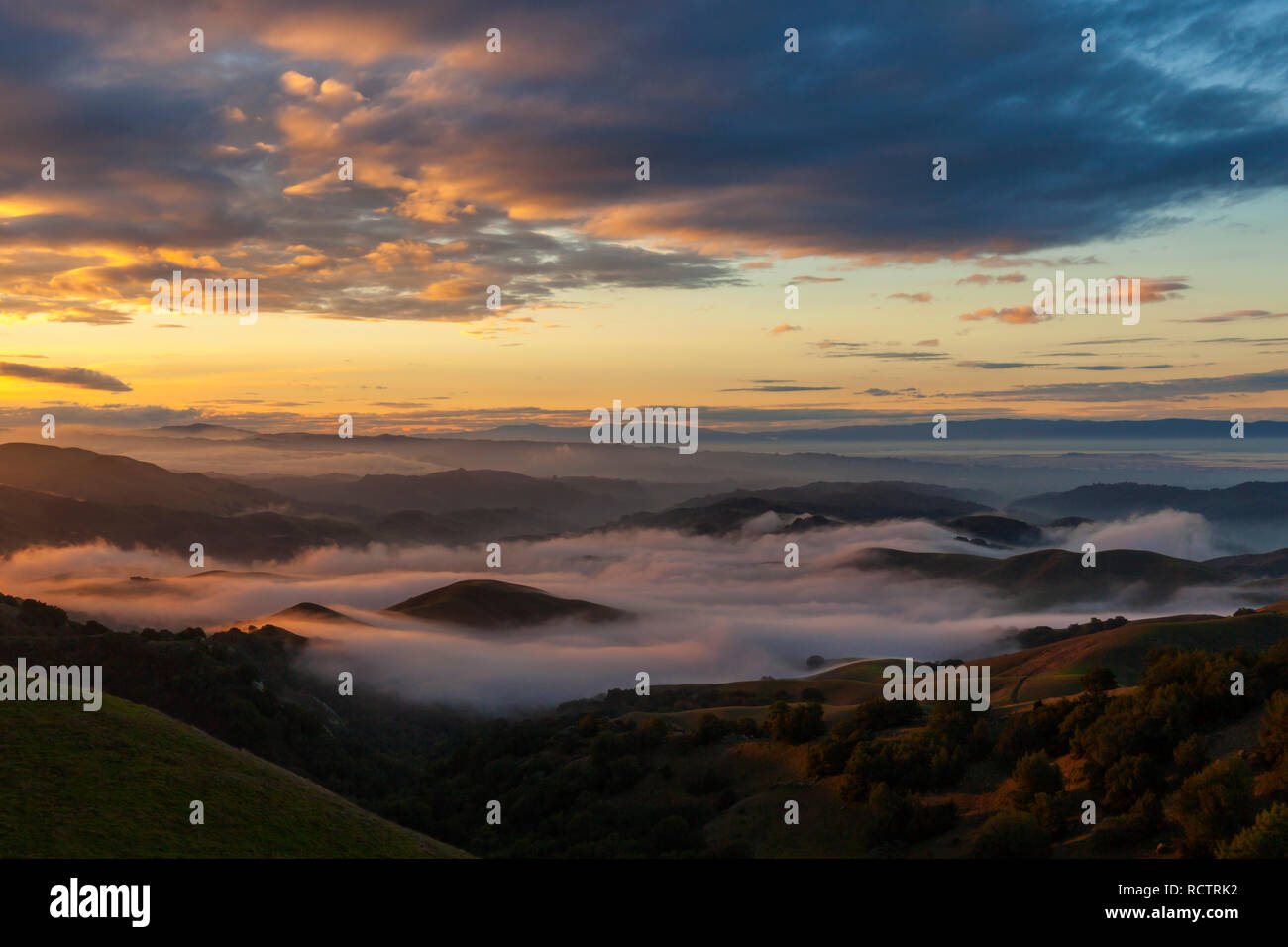 Nebel umgibt die Hügel von Las Trampas Regional Park, als die Sonne über dem East Bay Hügeln der San Francisco Bay Area steigt Stockfoto