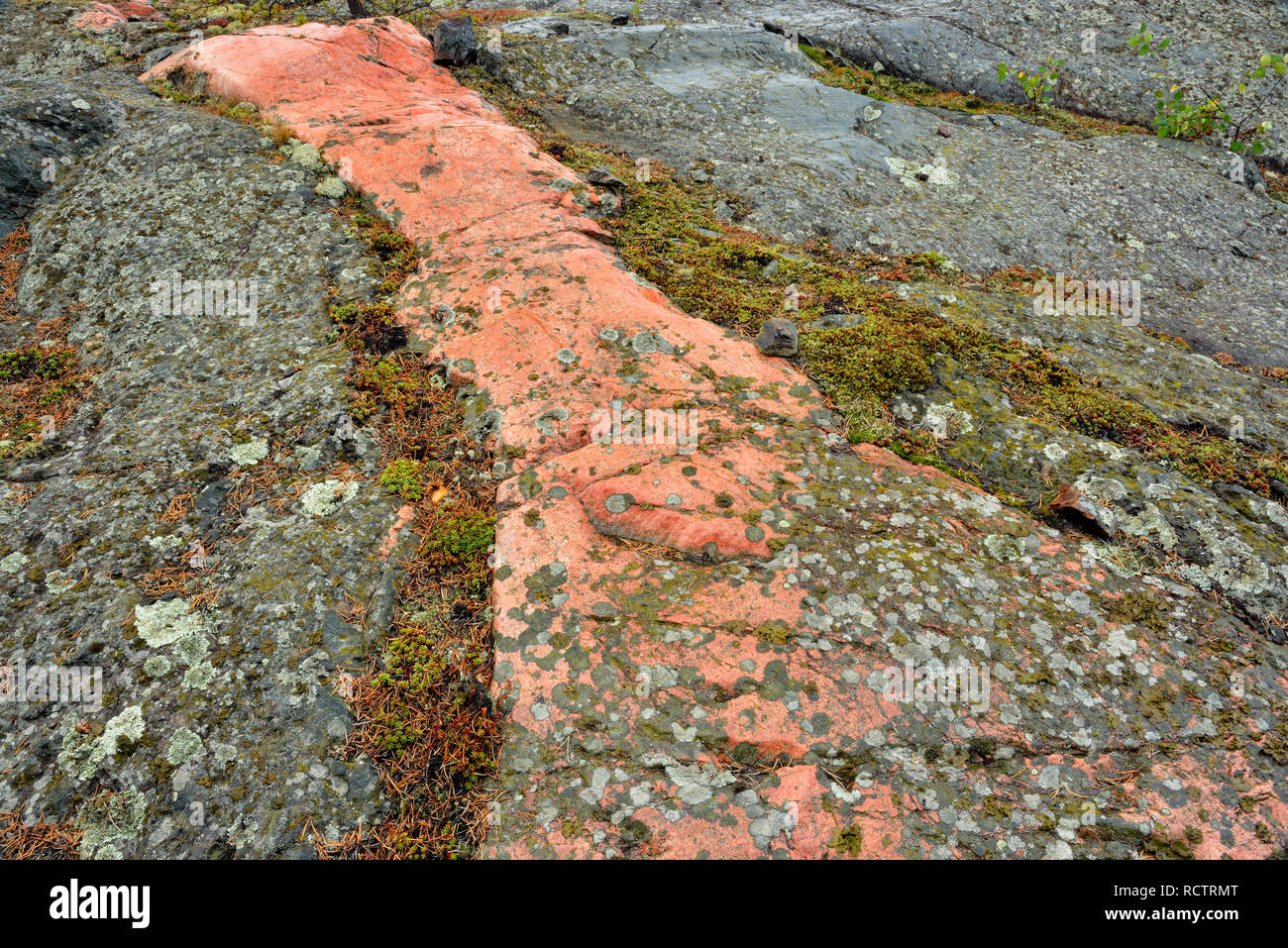 Schild präkambrischen Granit mit einem orangefarbenen magmatischen Deich, Yellowknife, Nordwest-Territorien, Kanada Stockfoto