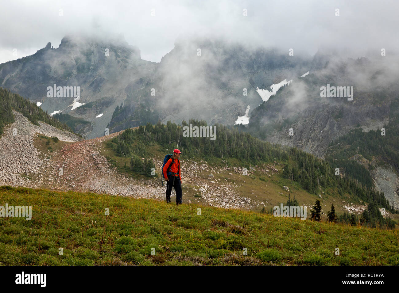 WA 15782-00 ... WASHINGTON - Wanderer, hoch über Windy Gap, in Route zu Tyee Höhepunkt im Mount Rainier National Park. Stockfoto