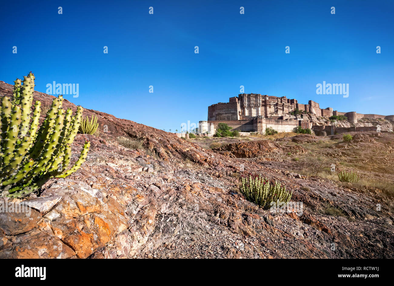 Mehrangarh Fort Blick von Rao Jodha Desert Park mit Cactus am blauen Himmel in Jodhpur, Rajasthan, Indien Stockfoto