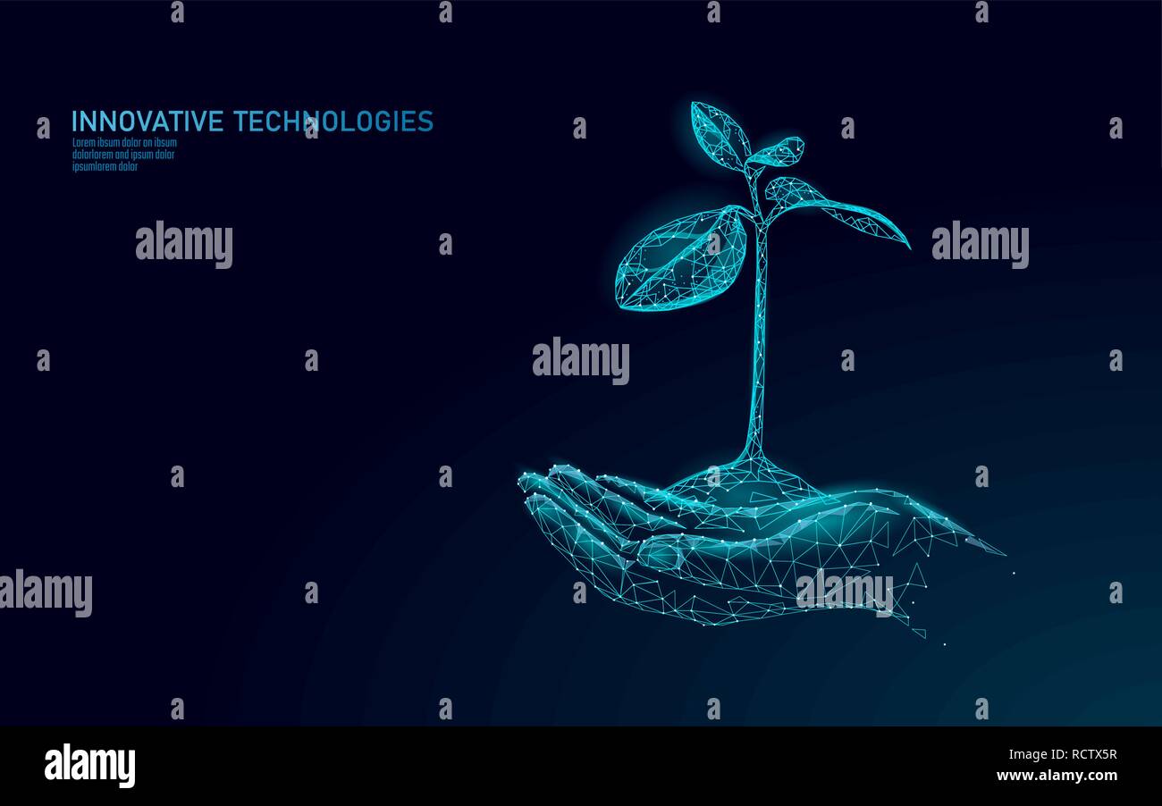 Hände, die Pflanze sprießen Ökologische abstraktes Konzept. 3D-Render Sämling Baum Blätter. Speichern planet Natur Umwelt wachsen Leben eco polygon Dreiecke Low Poly Vector Illustration Stock Vektor