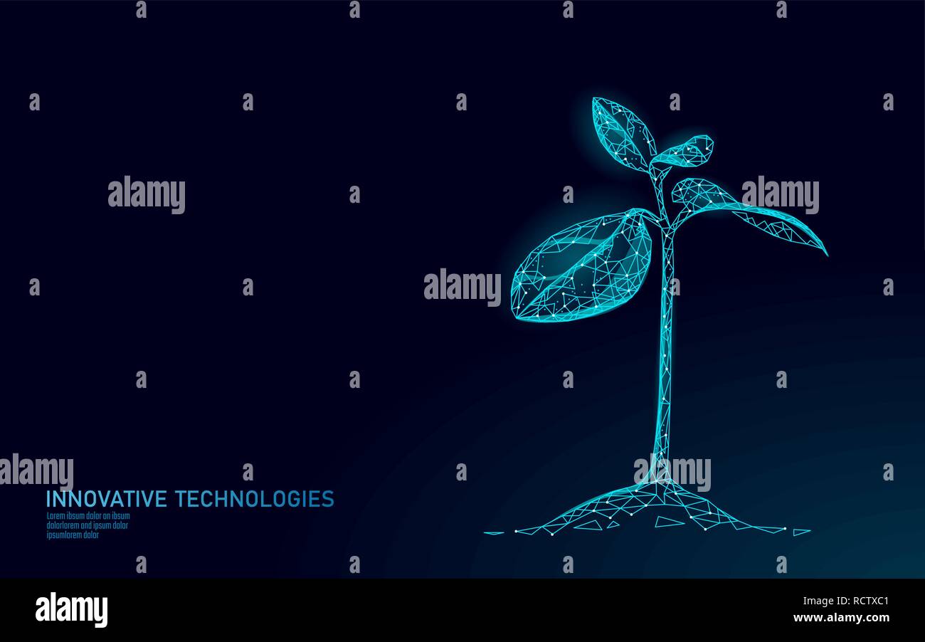 Pflanze sprießen Ökologische abstraktes Konzept. 3D-Render Sämling Baum Blätter. Speichern planet Natur Umwelt wachsen Leben eco polygon Dreiecke Low Poly Vector Illustration Stock Vektor