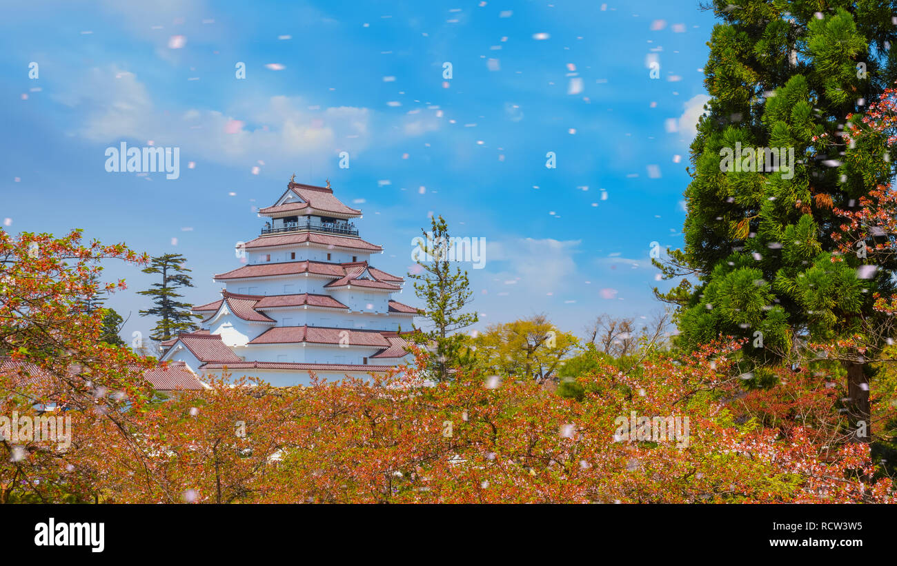 Aizuwakamatsu Schloss und Kirschblüte in Fukushima, Japan Aizuwakamatsu, Japan - 21 April 2018: aizu-wakamatsu Schloss und Kirschblüte gebaut von einem Stockfoto