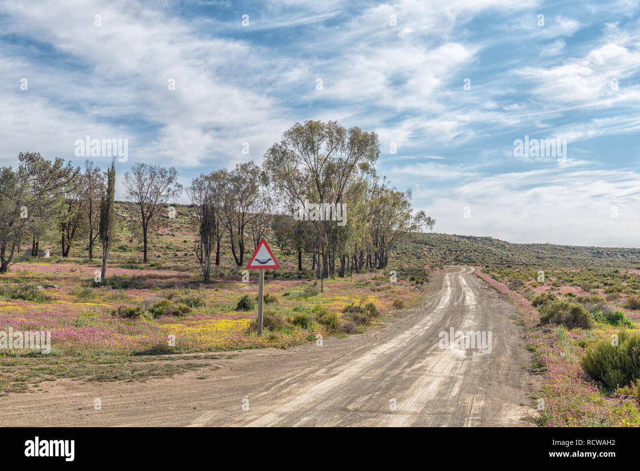 Eine Straße Landschaft mit Lila und Gelb wilde Blumen in der Nähe von Gannaga Lodge in der Tankwa Karoo in Südafrika. Ein Schild sichtbar ist. Stockfoto