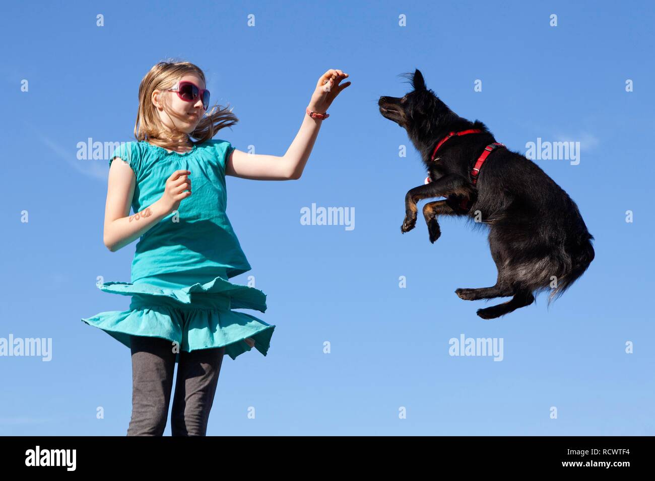 Mädchen einen Hund springen Stockfoto