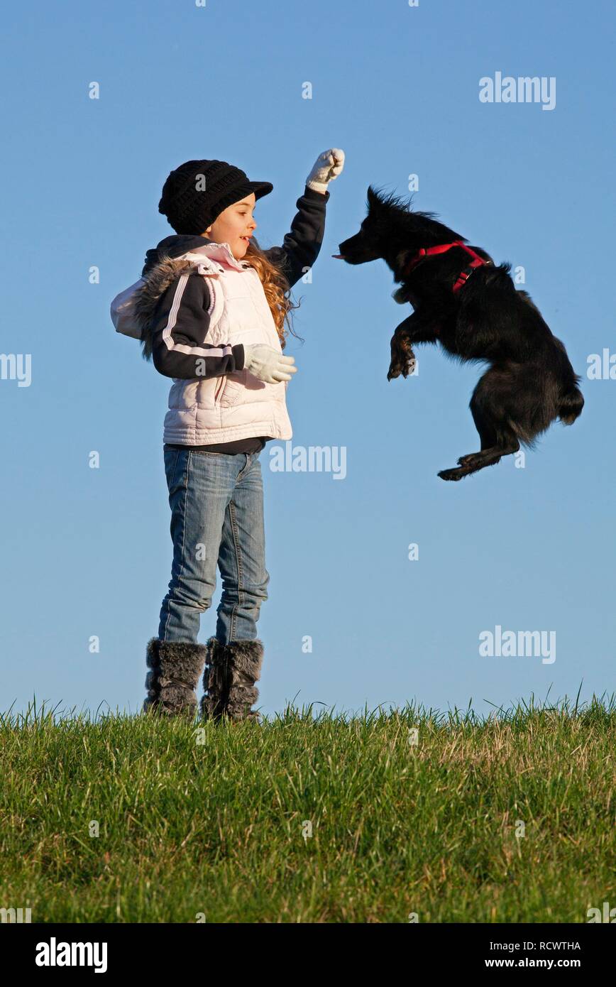 Mädchen einen Hund springen Stockfoto