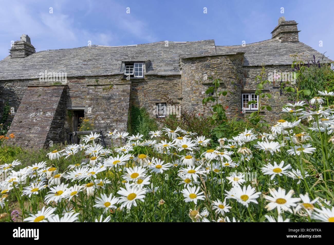 600 Jahre altes Haus, postal Station aus dem Garten, Tintagel, England gesehen, Großbritannien Stockfoto