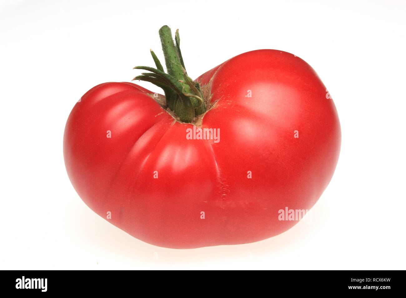 Rinderherz Tomate Stockfoto