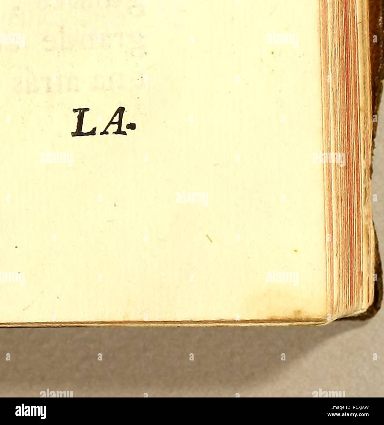 . Descripcion de diferentes Piezas de Historia Natural las Mas del ramo Maritimo: representadas De setenta y cinco Lamellen.. Marine Tiere; Naturgeschichte. paletas: á Distancia de una pulgada del la-bio Superior, quasi en el Medio, tienen Los oíos rebentónes, y La Nina corresponde a una Parte de á fuera del Globo: Toda la Piel de la Cabeza se Halla sembrada de diferentes as-peridades, Filamentos, y espinas. Tiene dos aletas jugulares, de cinco Zoll de ancho, y dos de Largo 5 su Farbe fondo obscuro manchado de Rosado, y Amarillo 5 dos-PEC-torales, con el mismo Farbe, una dorsalen Stockfoto