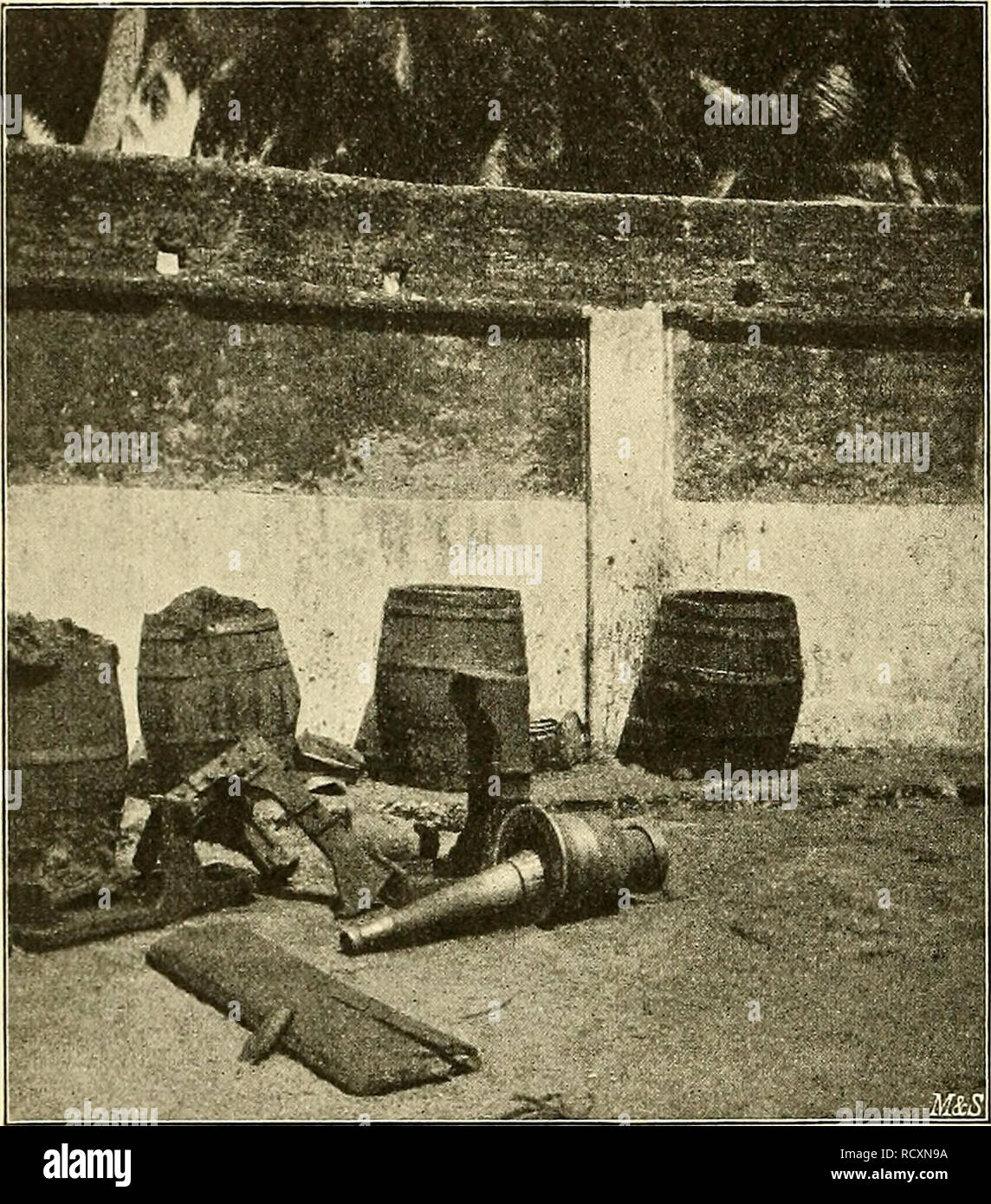 . Der Tropenpflanzer; Zeitschrift fr tropische Landwirtschaft. Tropische Pflanzen, Tropische Nutzpflanzen. - 414 den großen Europäerbetrieben nachgefragt, war wohl der Grund für This eigentümliche Zusammenstellung ist, und warum Leute, sterben 380 Alörser arbeiten lassen, nicht eine hydraulische Presse aufstellen. Die Inder sind ja gute Rechner, auch Gründe mußten wohl vorhanden sein. Der Chemiker in der Leinölwerke Naihati hat mir darauf fol-gende Antwort gegeben: Ich. Die Mörser sind sehr billig, eine Hydraulik-lische Presse- auch. 2. Der Mörserbetrieb kann mit kleinem Kapital angefangen und ganz allmäh Stockfoto