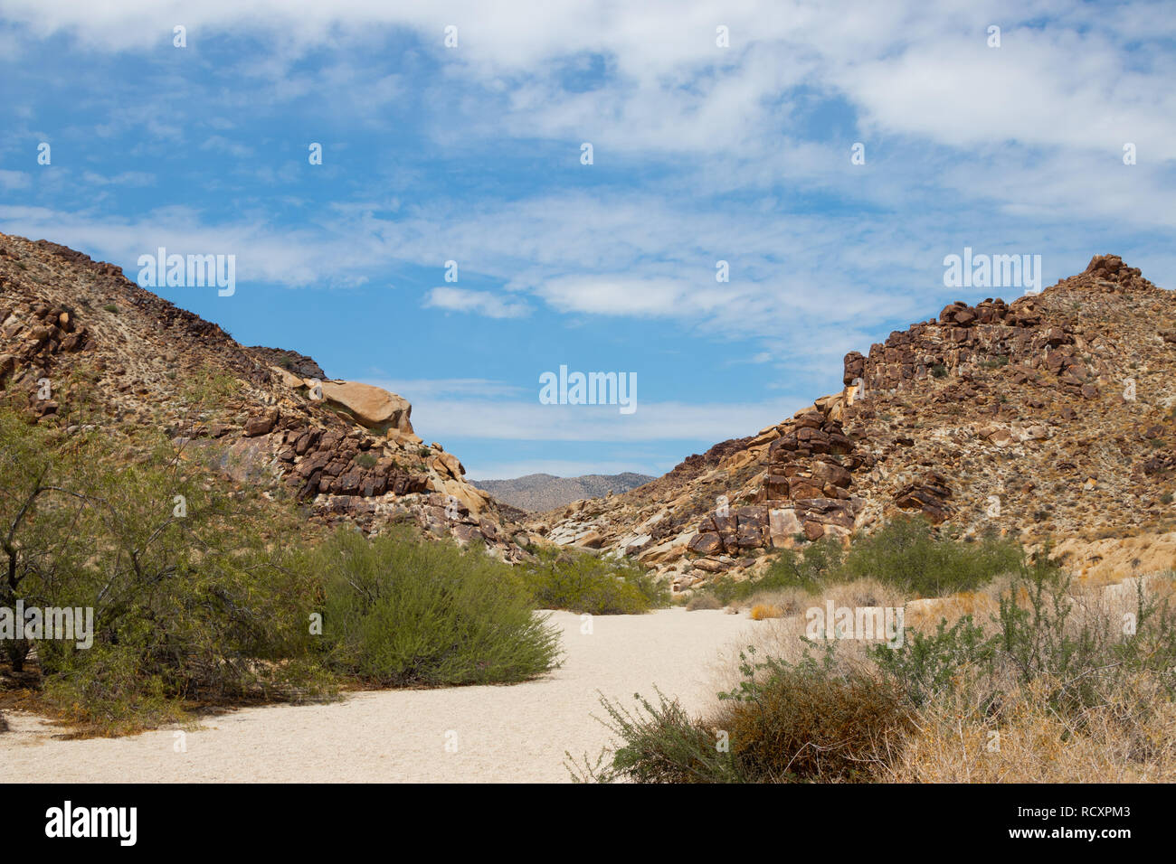 Grapevine Canyon, NV Stockfoto