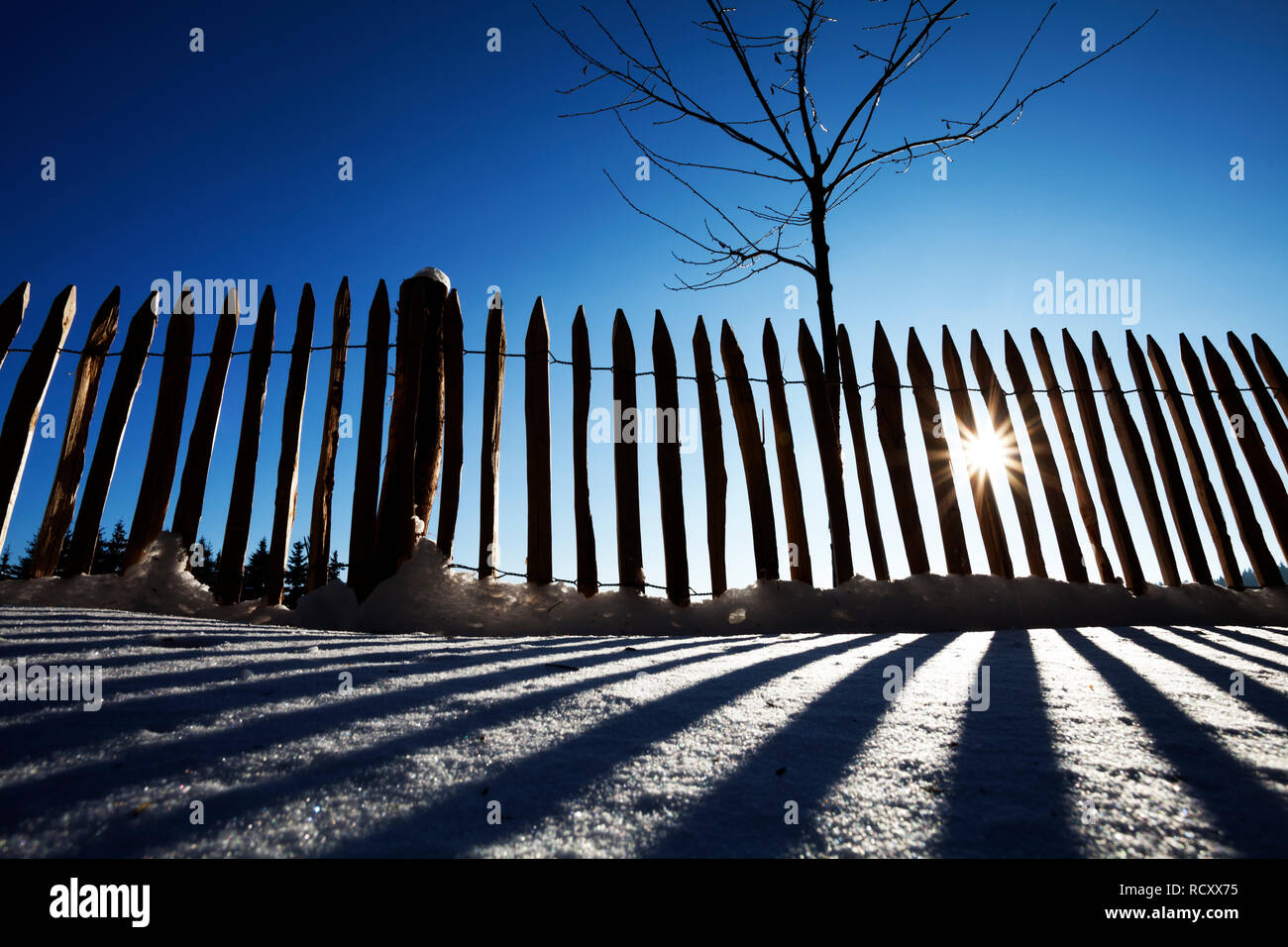 Zaun in der Hintergrundbeleuchtung im Winter Stockfoto