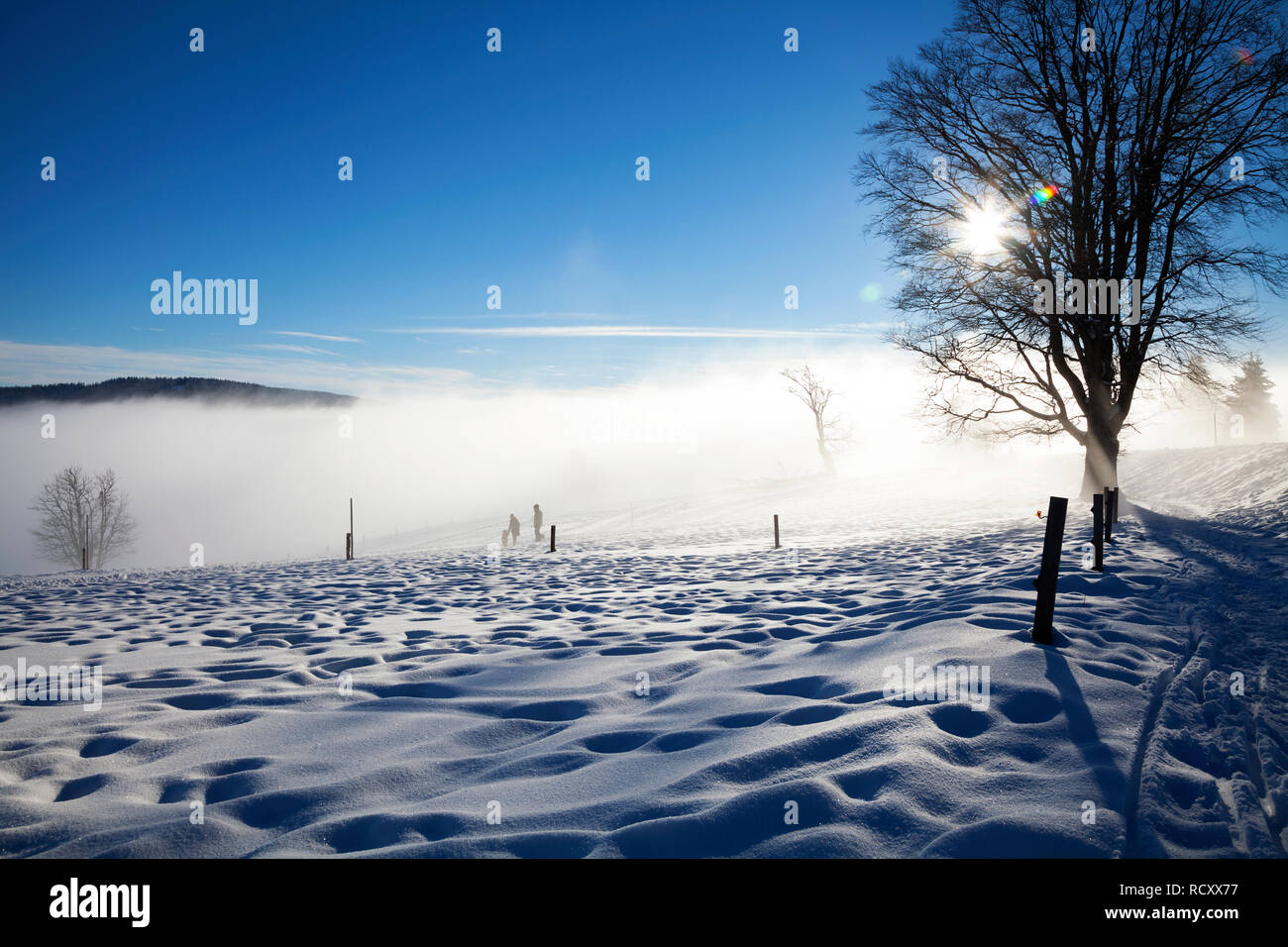 Wintertag am Schauinsland, Schwarzwald Stockfoto